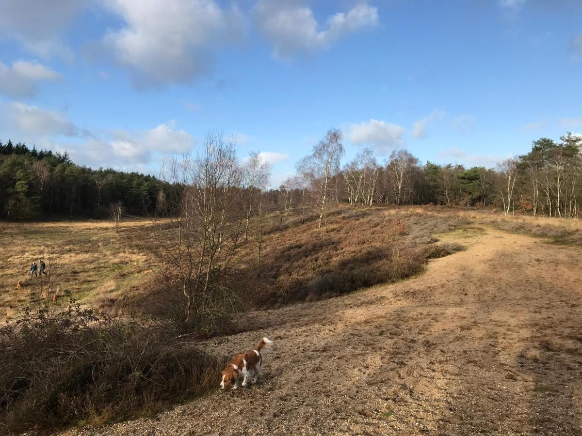 'T Heidepaleis Bed and Breakfast Garderen Eksteriør billede